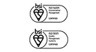BSI LOGO